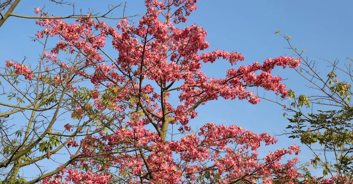Czym są ogrody botaniczne i dlaczego warto je odwiedzić?