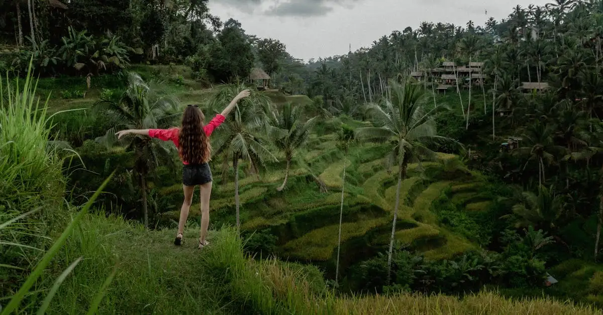 Co robić na wsi w Ubud, Indonezja? Odkryj atrakcje!