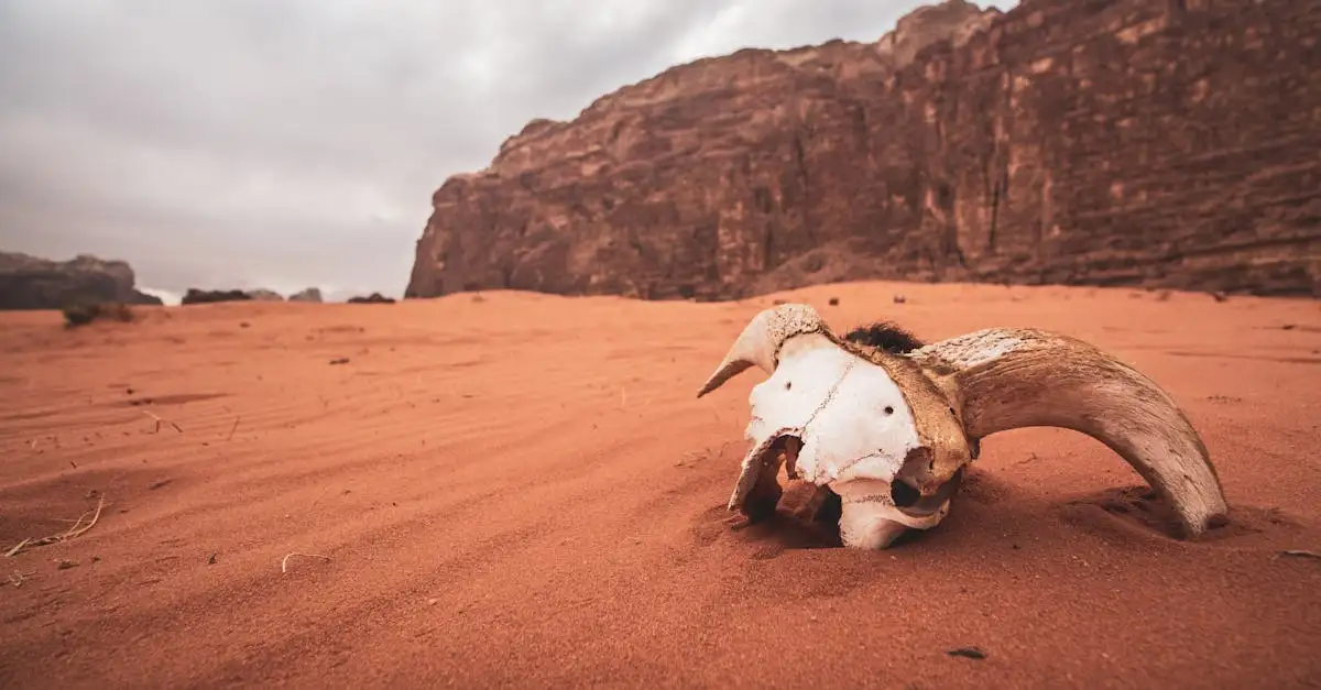 Co to jest Park Narodowy Wadi Rum w Jordanii?