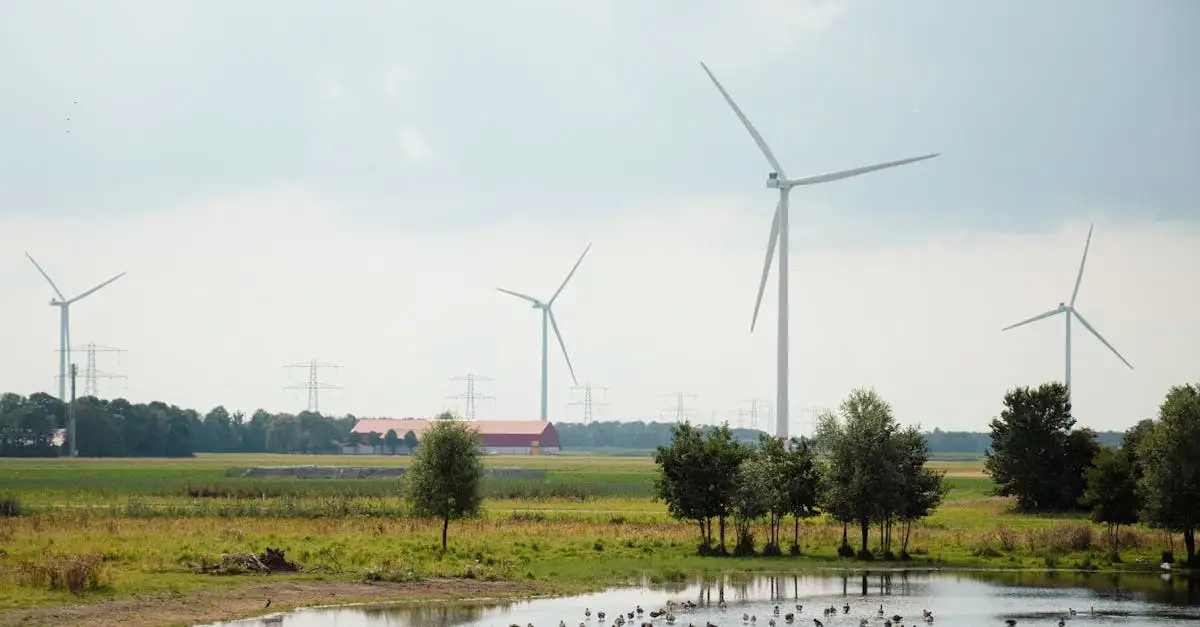 Dlaczego Denkend aan Holland cieszy się ogromną popularnością?