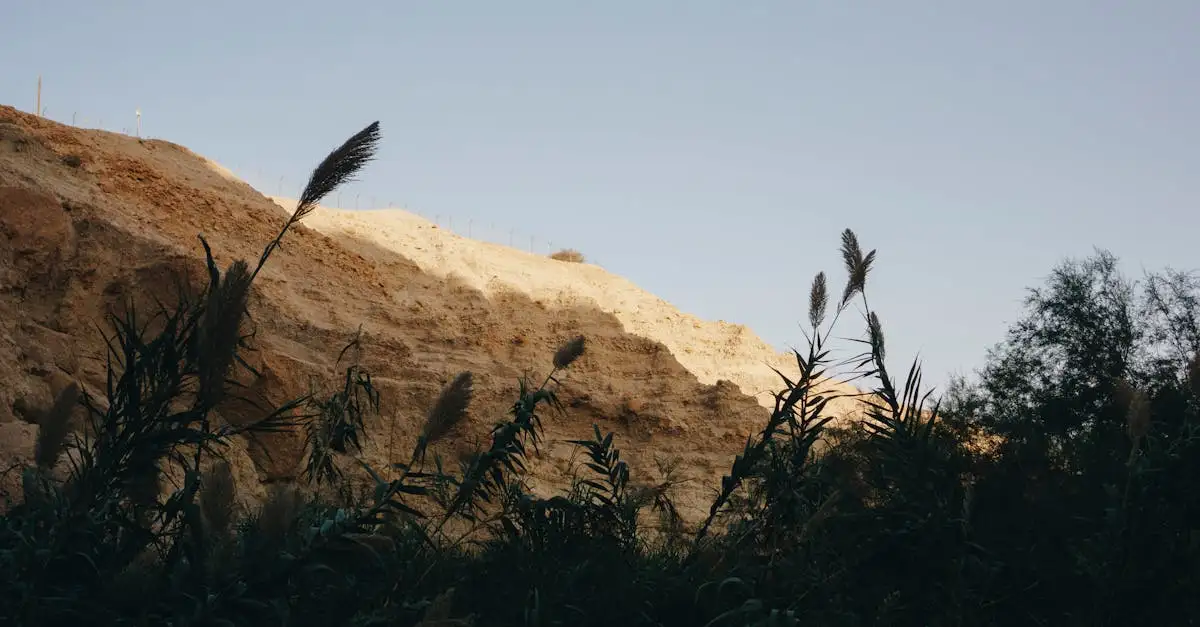 Gdzie znajduje się unikalne solne jezioro w Ein Gedi?