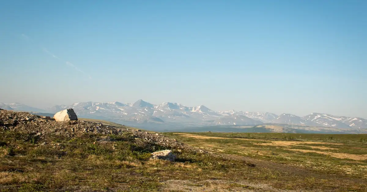 Który region Norwegii obejmuje Jotunheimen?