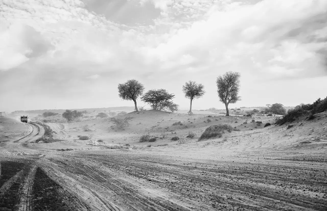Dlaczego Dust Bowl lat 30. był tak katastrofalny dla USA?