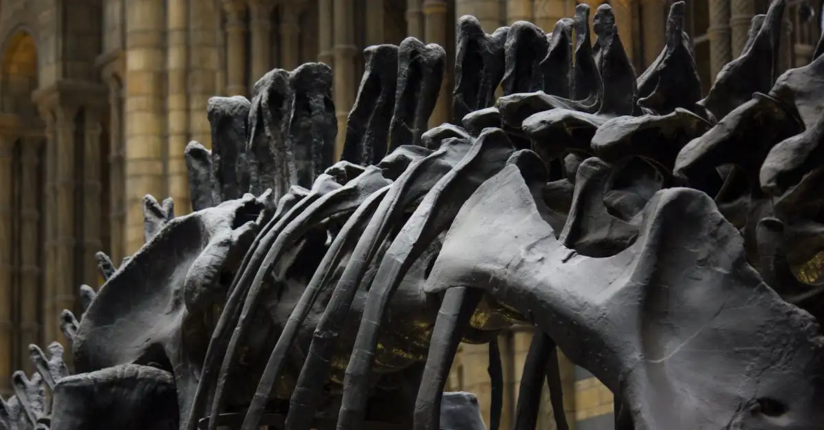 Co skamieniałe zęby i kości mówią o prehistorii?