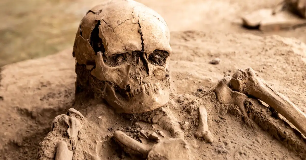 Co skamieniałe zęby i kości mówią o prehistorii?