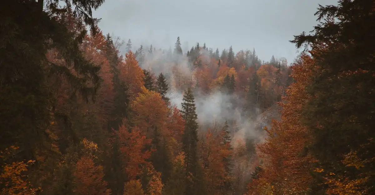Co to jest Park Narodowy Hohe Tauern w Austrii?