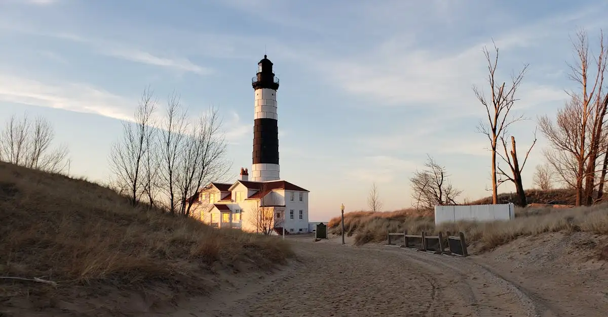 Jaka jest skrócona historia stanu Michigan?