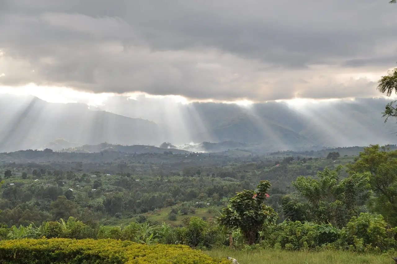 Jaka rzeka łączy Kongo i Gabon? Odkryj jej tajemnice!