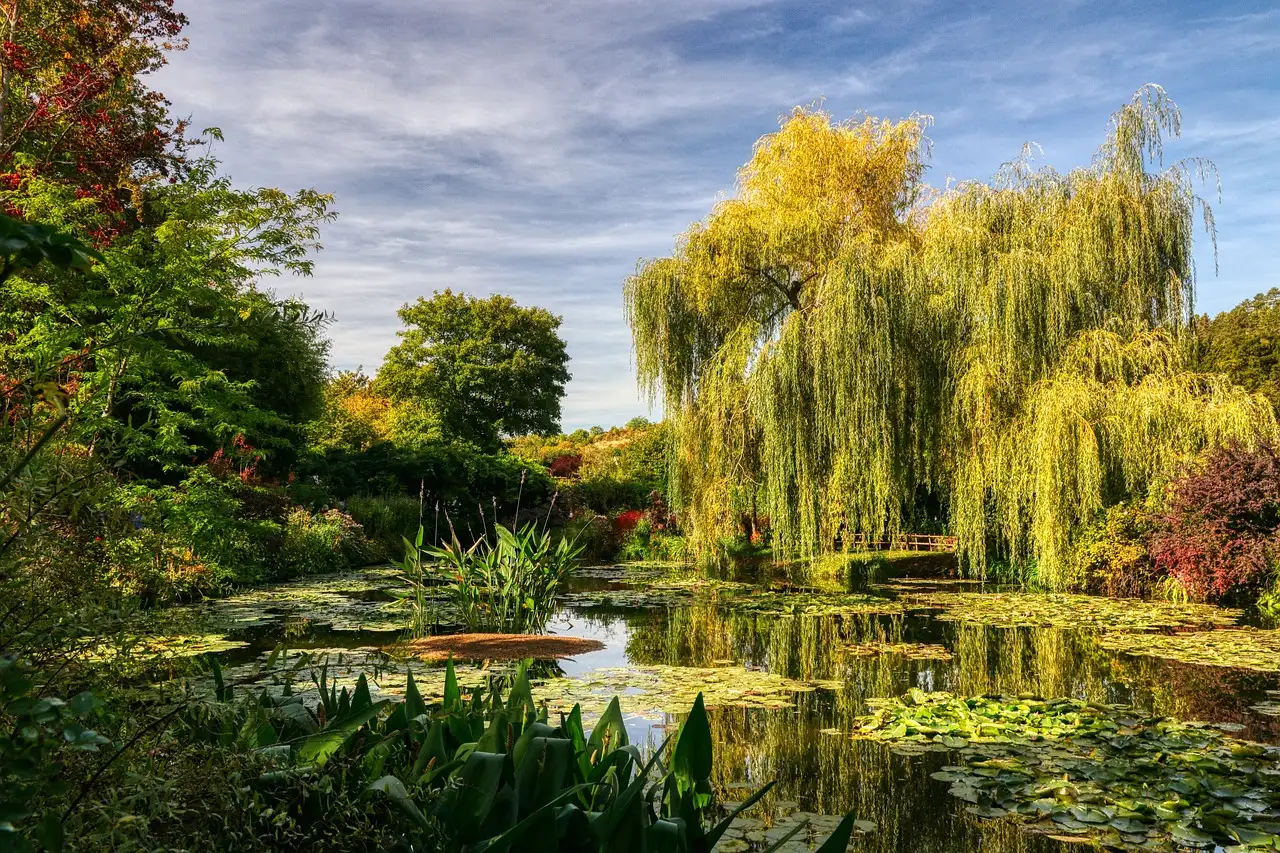 Kto namalował Most w Giverny? Odkryj jego tajemnicę!
