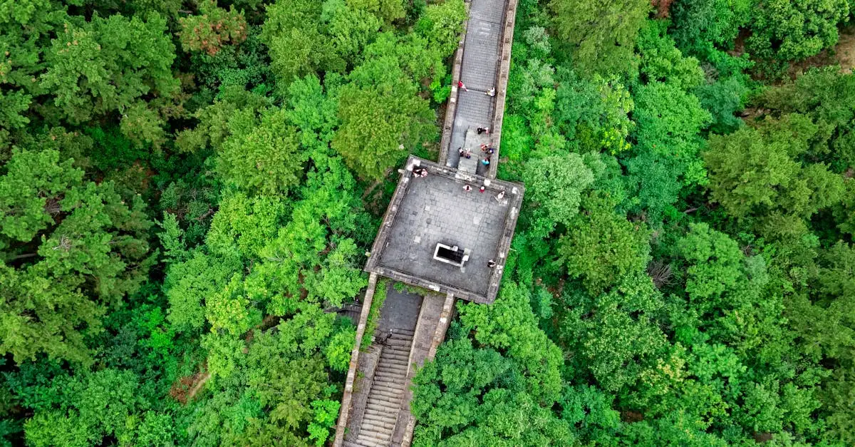 Kto zjednoczył Chiny i zbudował Wielki Mur Chiński?