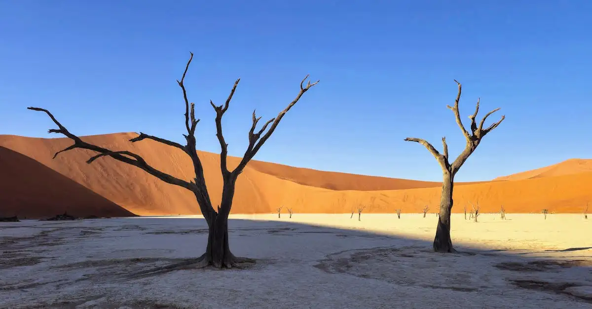 Gdzie leży pustynia Namib i Park Narodowy Namib-Naukluft?