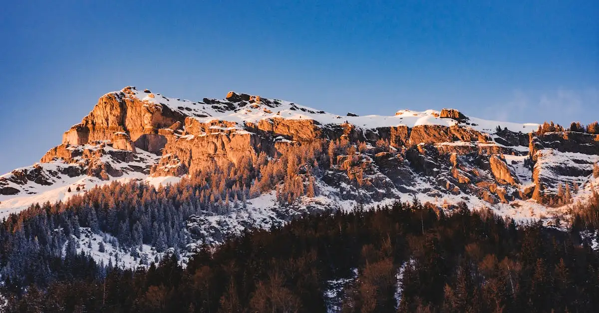 Gdzie w Francuskich Alpach koło Chamonix jeździć na nartach?