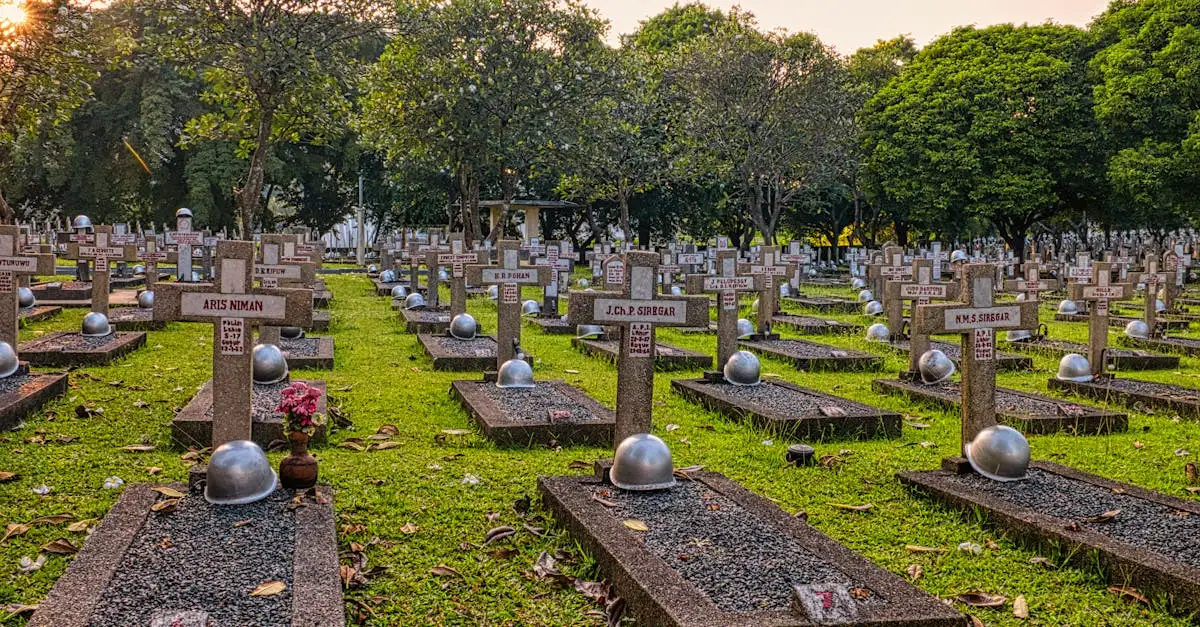 Jaką rolę odegrał Czerwony Krzyż w czasie wojny?