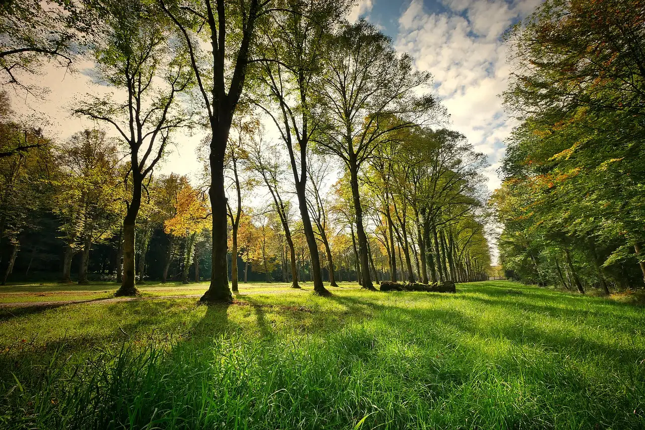 Jaki jest największy park narodowy w Szwajcarii?