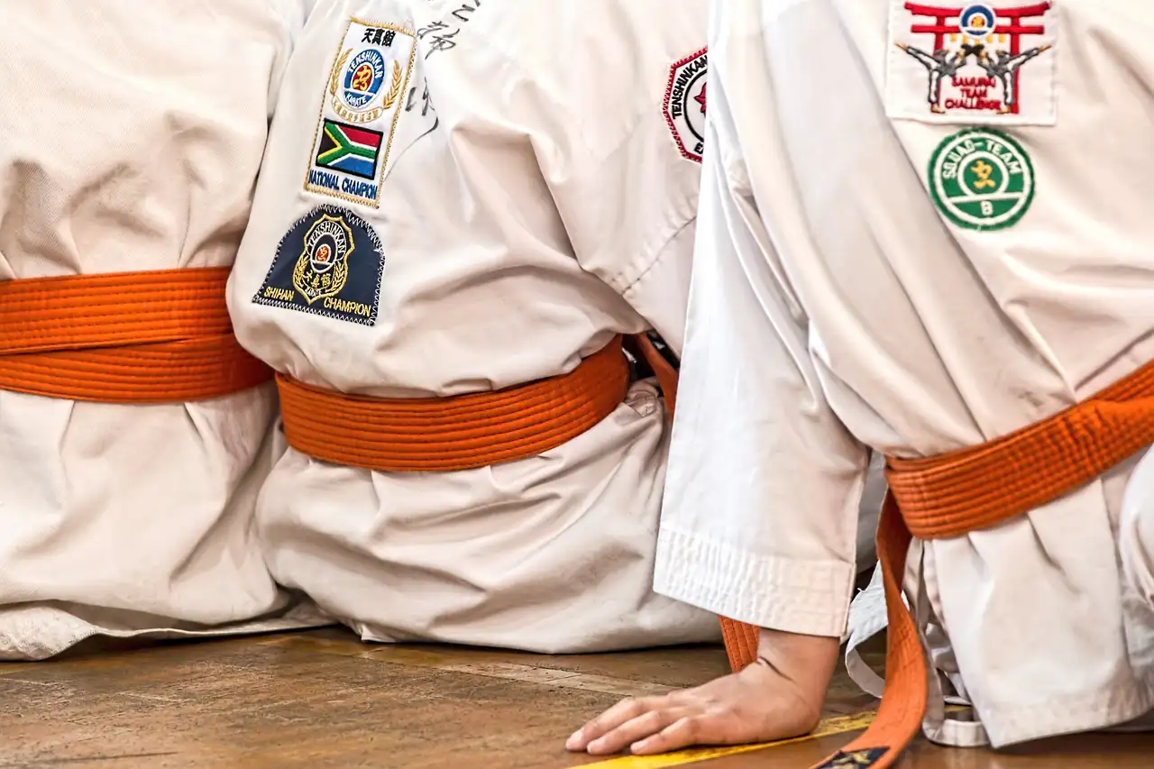 Jaki wpływ miało wprowadzenie karate w 2020 roku?