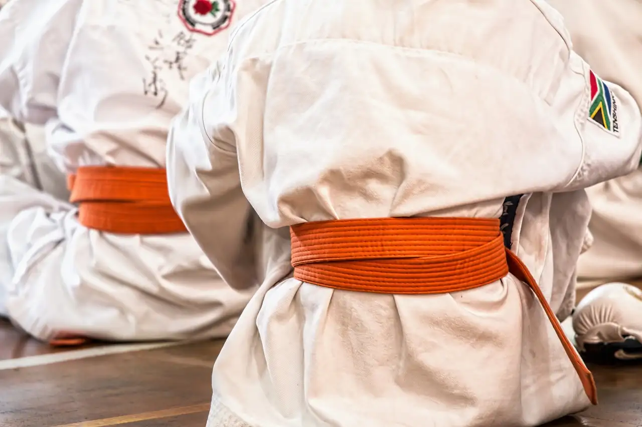 Jaki wpływ miało wprowadzenie karate w 2020 roku?