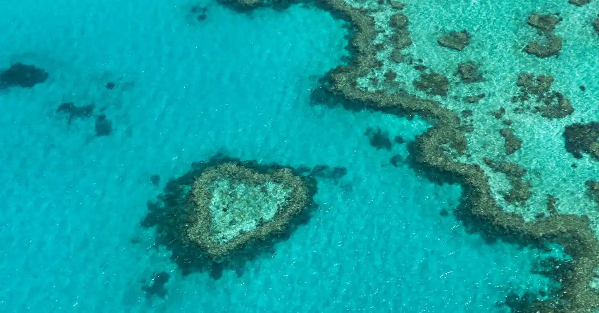 Jakie miasto w Australii jest najbliżej Wielkiej Rafy Koralowej?