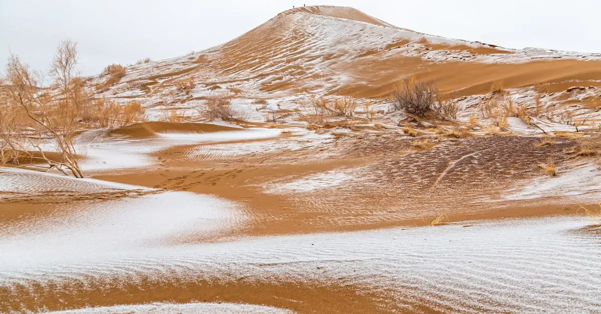 Która pustynia w Patagonii charakteryzuje się zimnym klimatem?