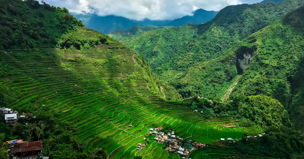 Które miasto na Filipinach słynie z pól ryżowych Banaue?