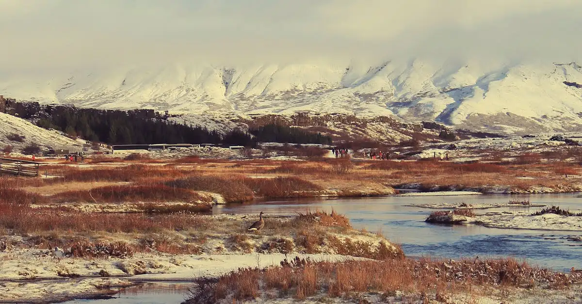 Co to jest Park Narodowy Þingvellir na Islandii?