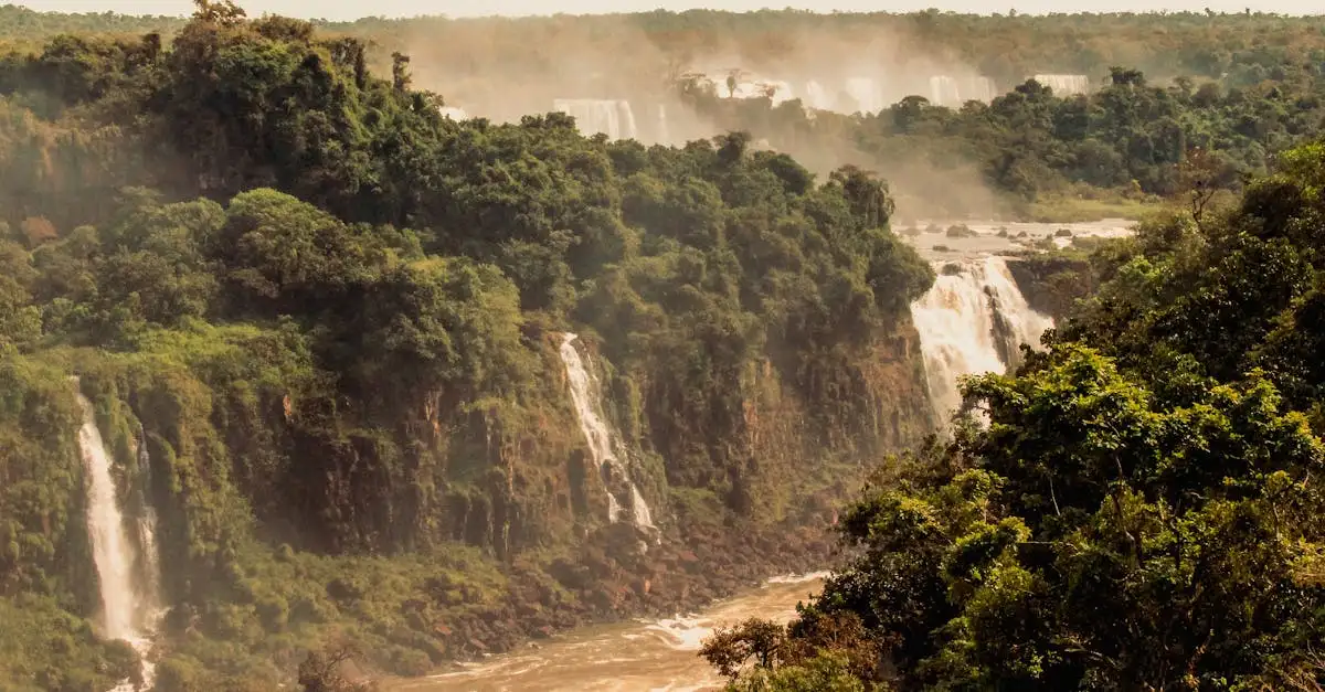 Co warto zobaczyć przy wodospadach Iguazú?