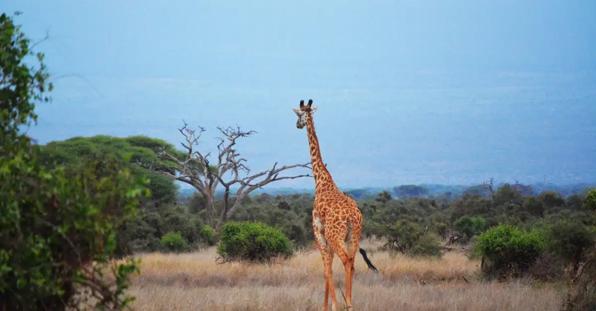 Dlaczego Park Narodowy Serengeti jest tak znany w Tanzanii?