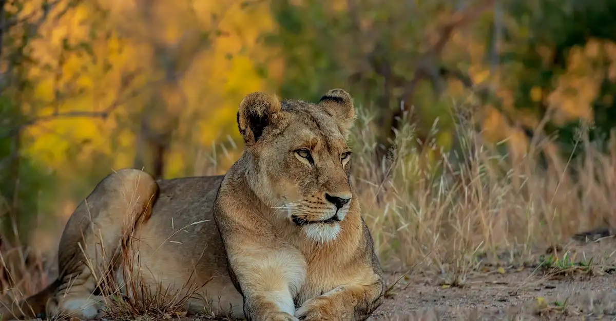 Dlaczego Park Narodowy Serengeti jest tak znany w Tanzanii?