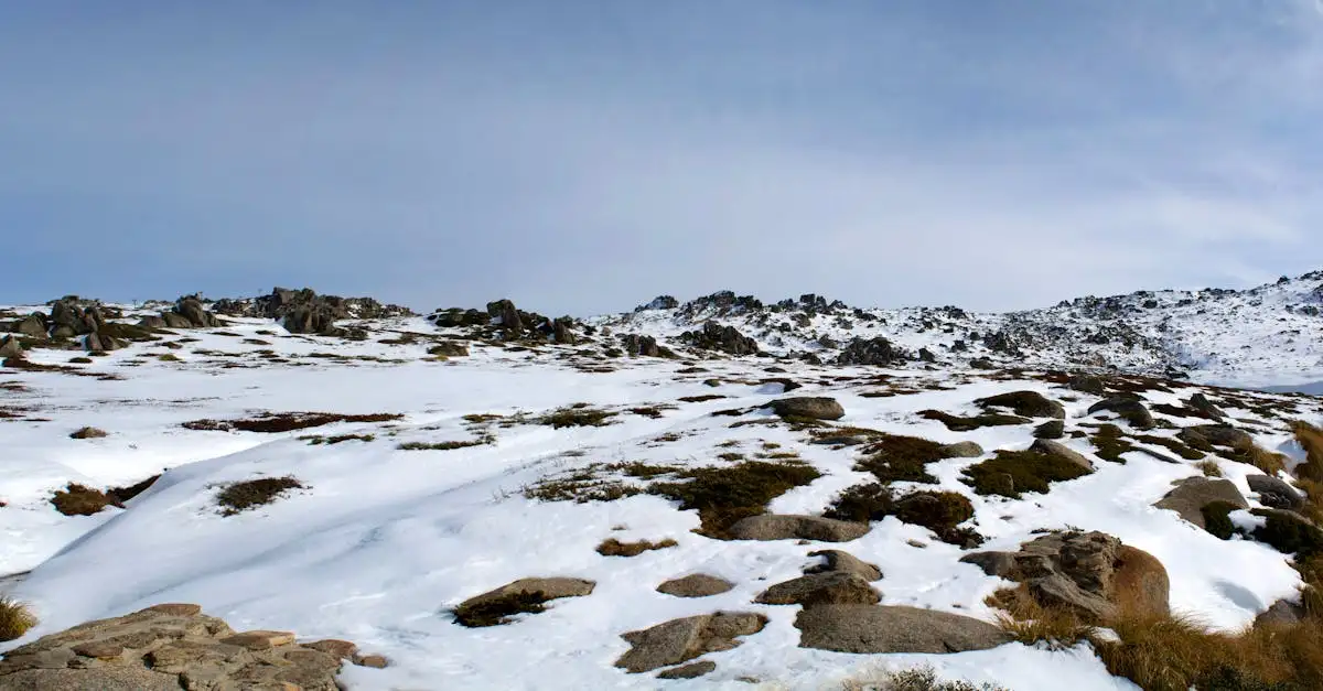 Gdzie na narty w Australijskich Alpach koło Mount Buller?