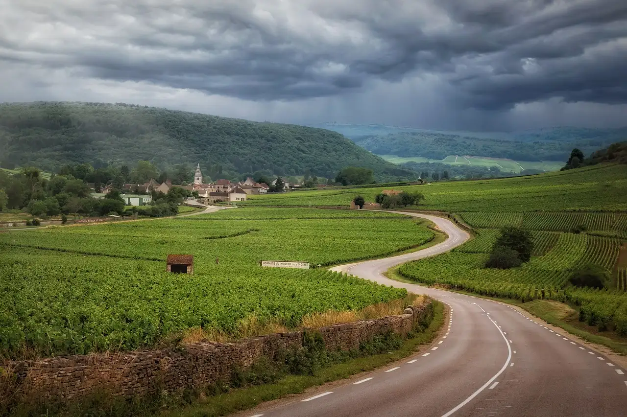 Jakie jest najsłynniejsze region winiarskie we Francji?