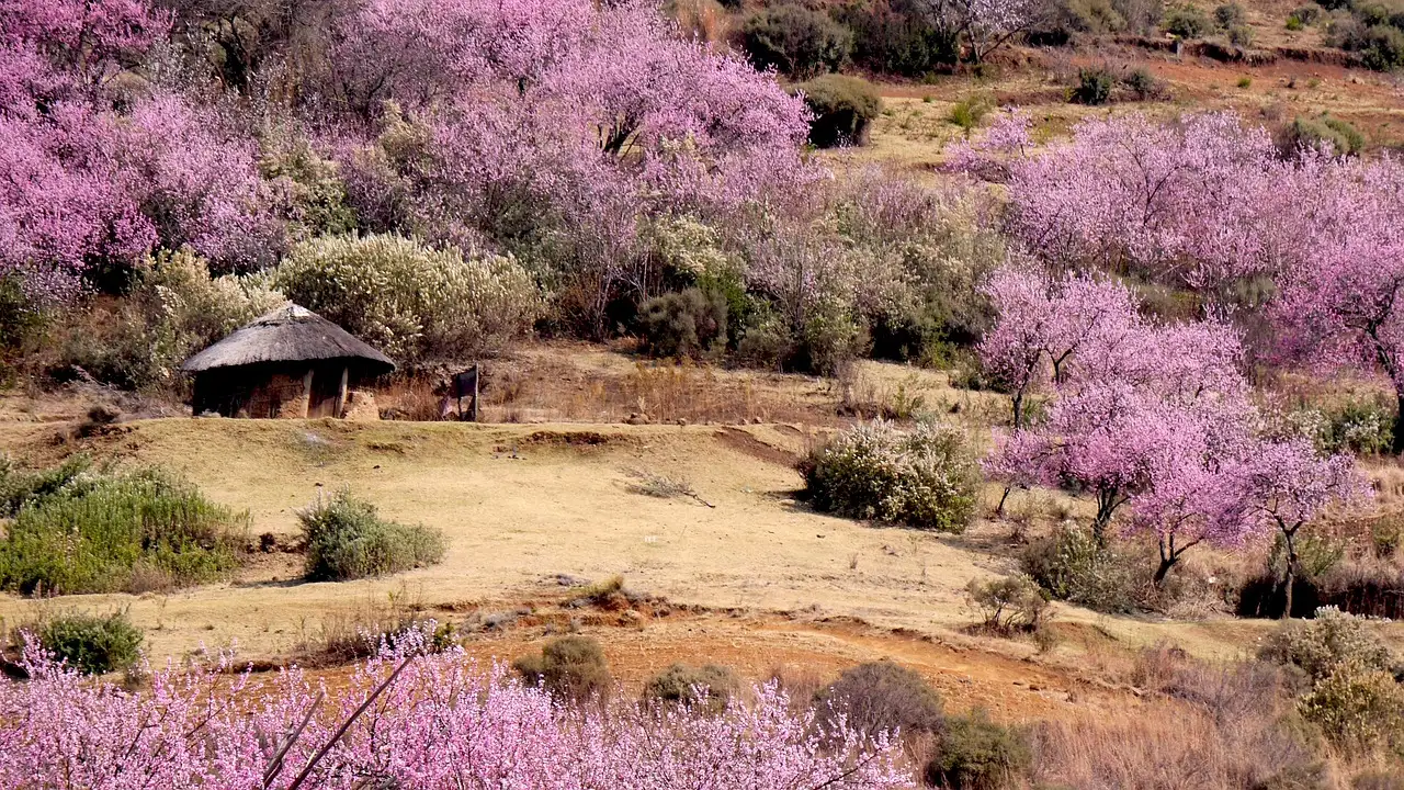 Jakie muzea i zabytkowe budynki warto zobaczyć w Lesotho?