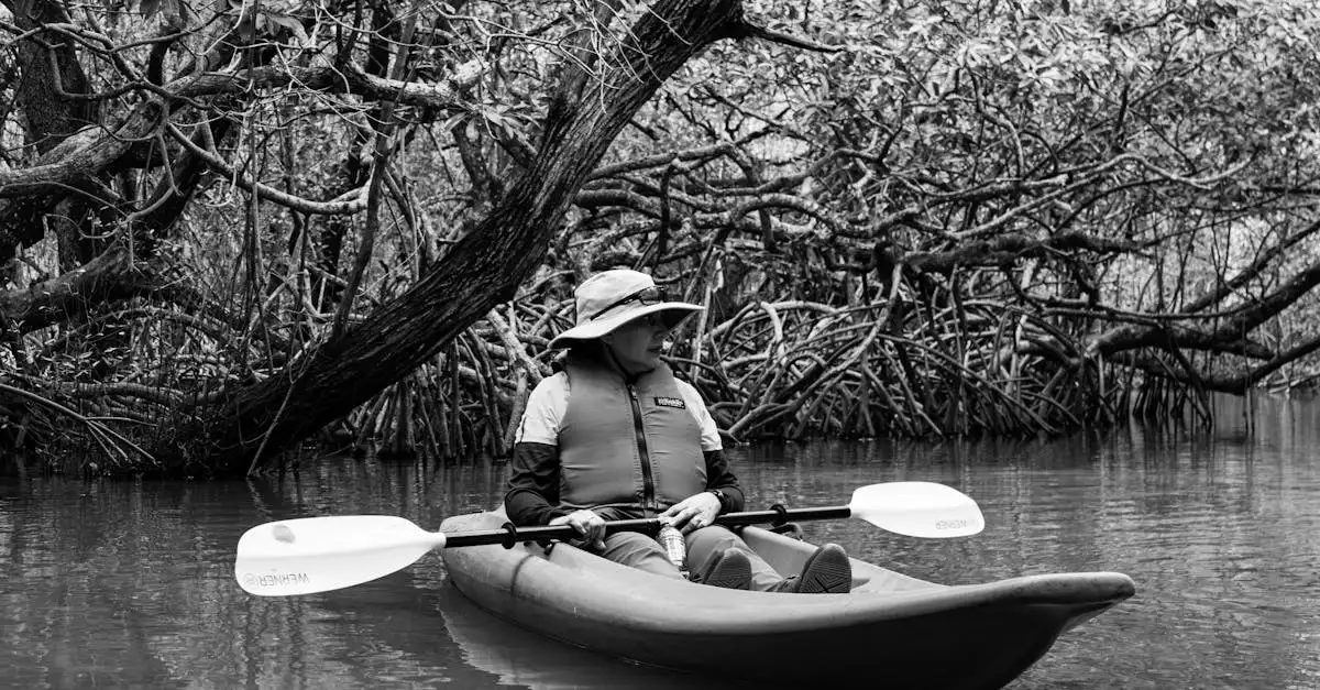 Gdzie kajakować w mangrowcach na Isla de Ometepe?