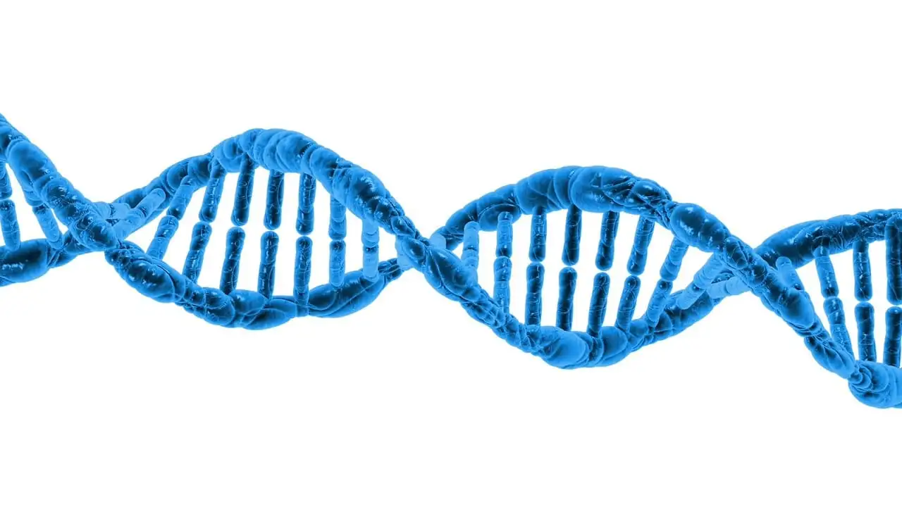 Jak analizy DNA ujawniają tajemnice neandertalczyków?