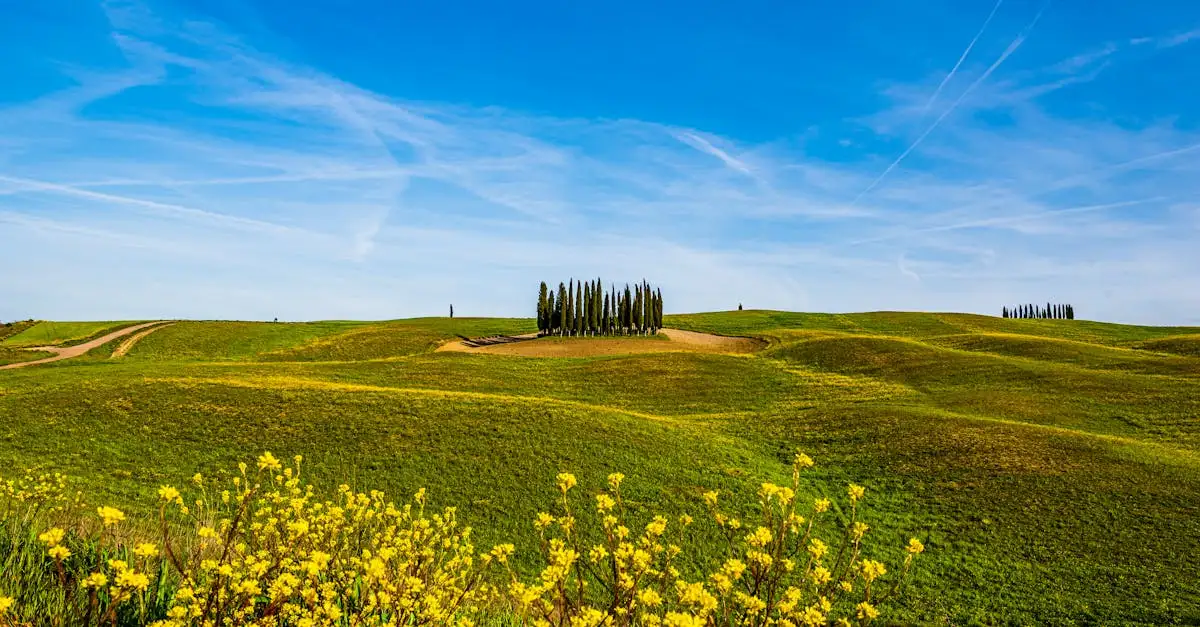 Jaki region Włoch to dom Parku Val d'Orcia?