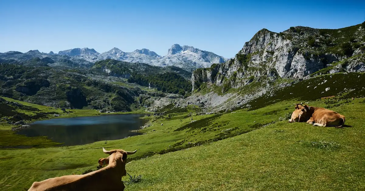 Który region Hiszpanii obejmuje Picos de Europa?