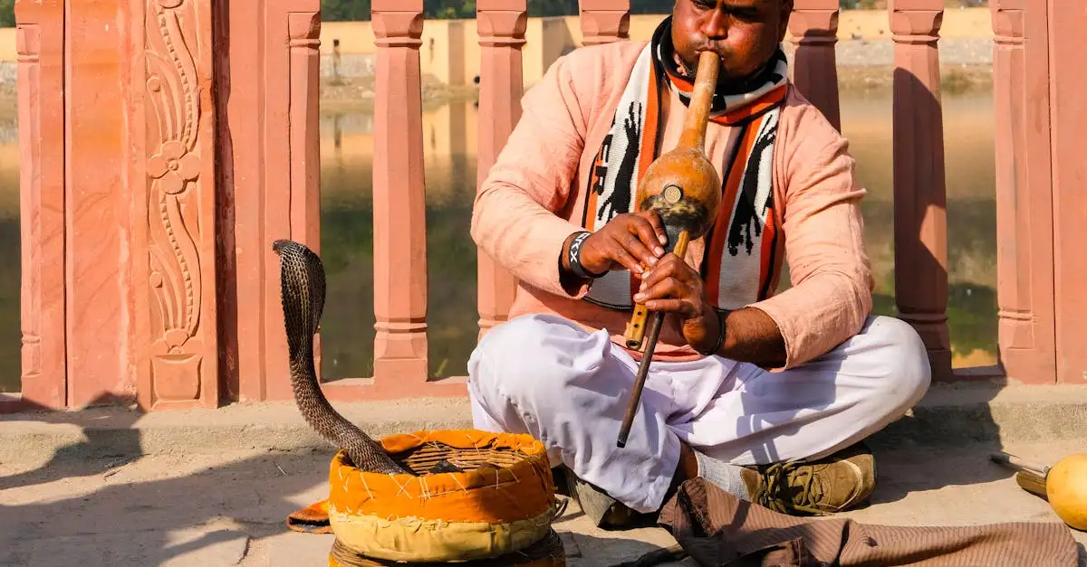 Co odkryjesz w kolorowych ulicach Jaipur?
