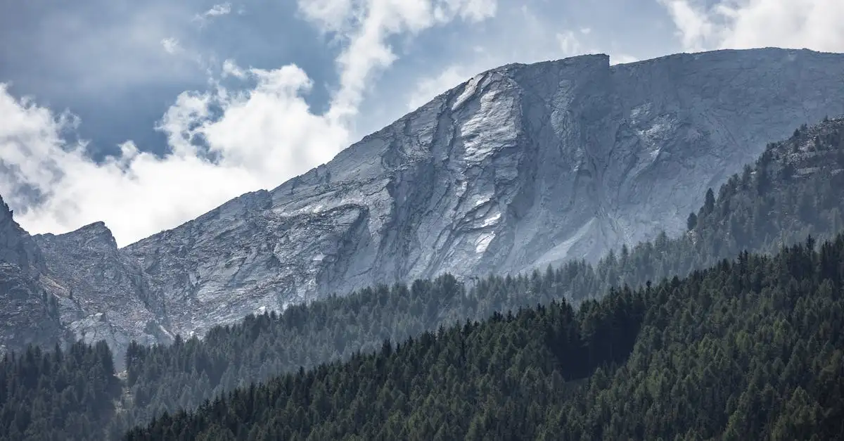 Co to jest Park Narodowy Gran Paradiso we Włoszech?