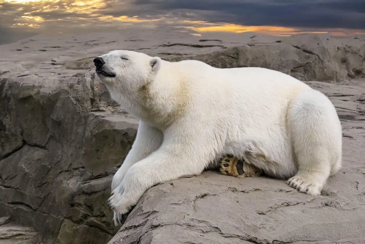 Dlaczego jezioro Great Bear w Kanadzie jest wyjątkowe?
