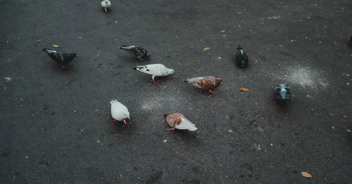 Jak dziób pomaga ptakom w zdobywaniu pokarmu?