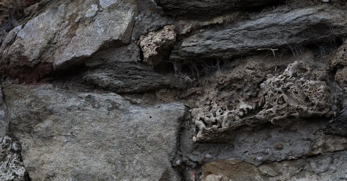 Jak Neandertalczycy tworzyli swoje narzędzia kamienne?