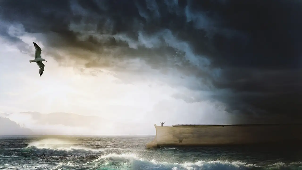 Jakie są zasady gry Ark Nova? Odkryj je dzisiaj!