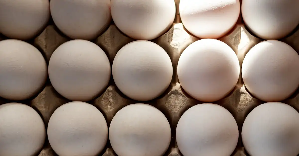 Jakie zdrowe śniadanie na wysoki cholesterol wybrać?