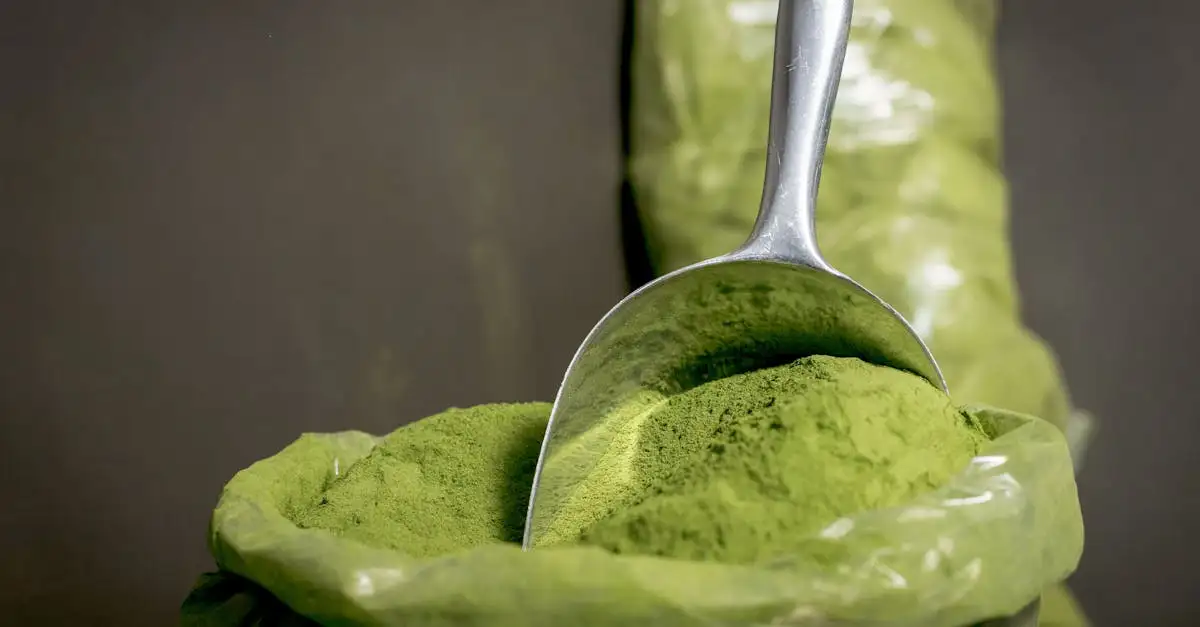 Na co pomaga moringa? Odkryj jej zdrowotne właściwości!
