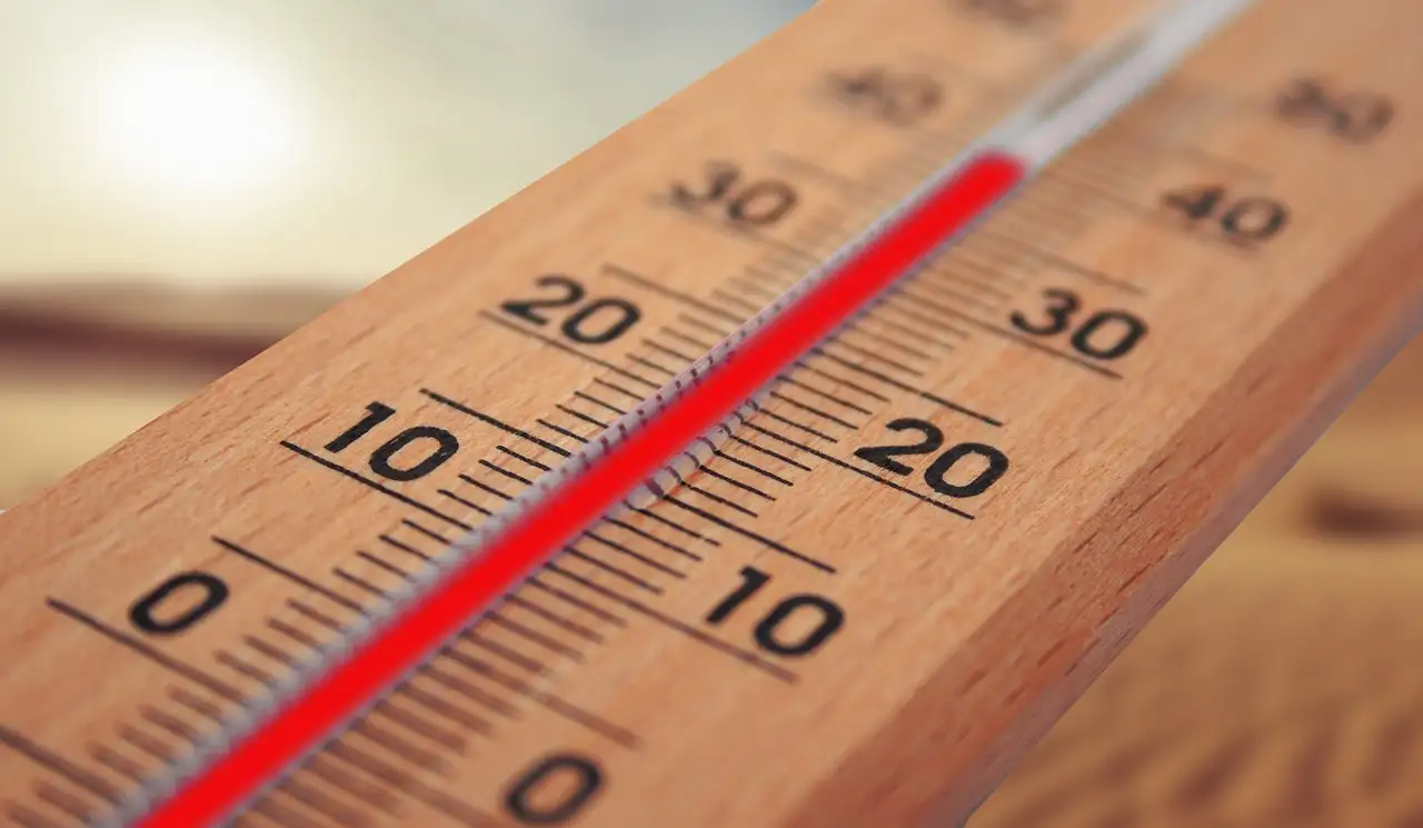 Przy jakiej temperaturze wertykulować trawniki? Sprawdź!
