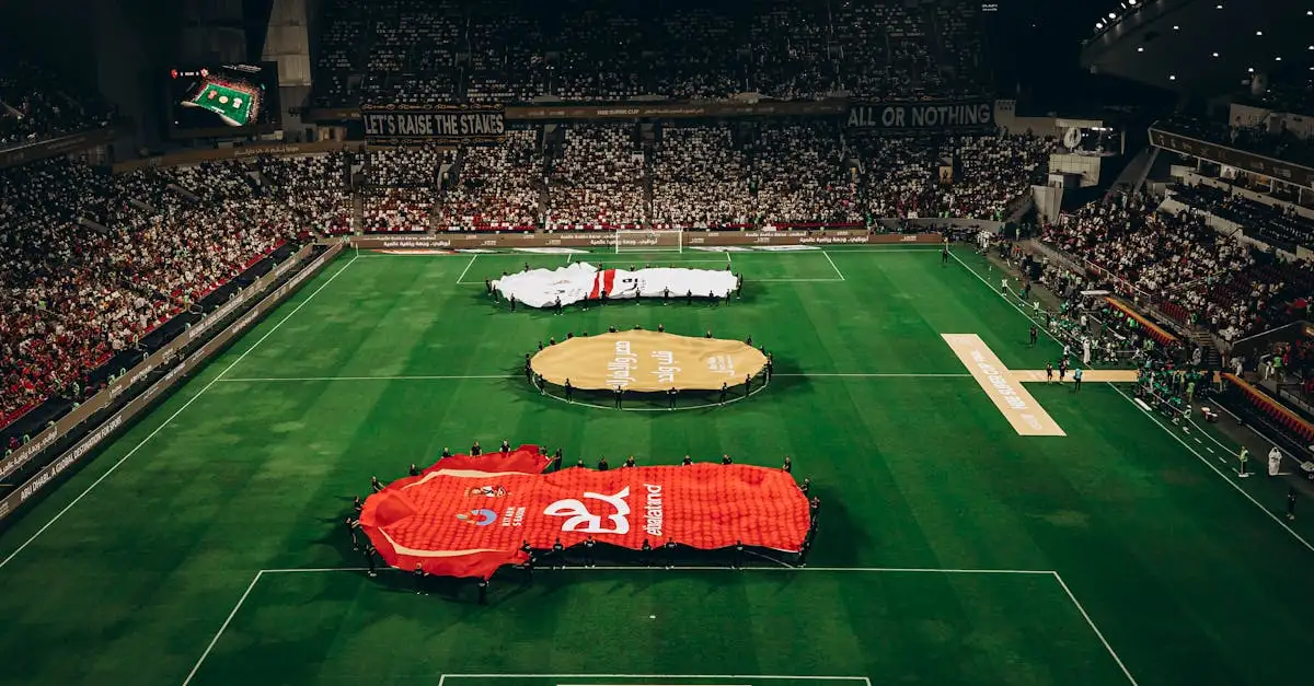 Gdzie znajduje się stadion Olympique Lyonnais w Lyonie?