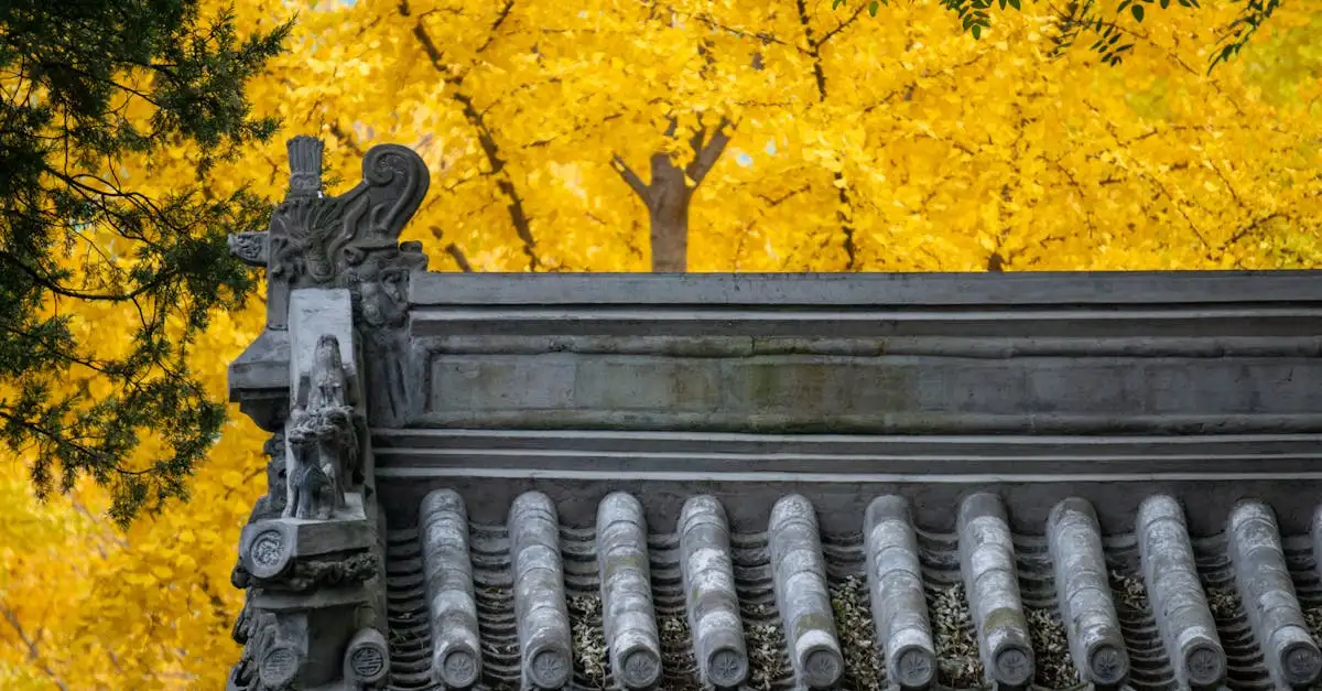 Ginkgo biloba - jakie ma korzyści zdrowotne?