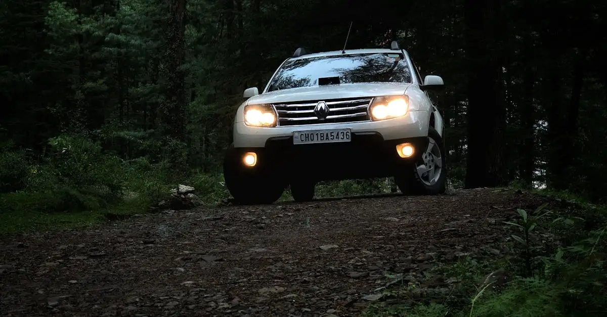 Jakie problemy z Renault Kadjar można napotkać i jak je rozwiązać?