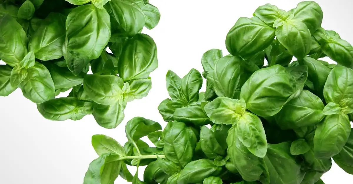 Jakie warzywa dodać do pesto z makaronem? Sprawdź!